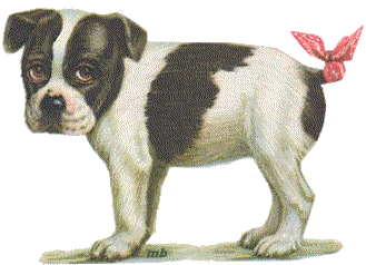 chien